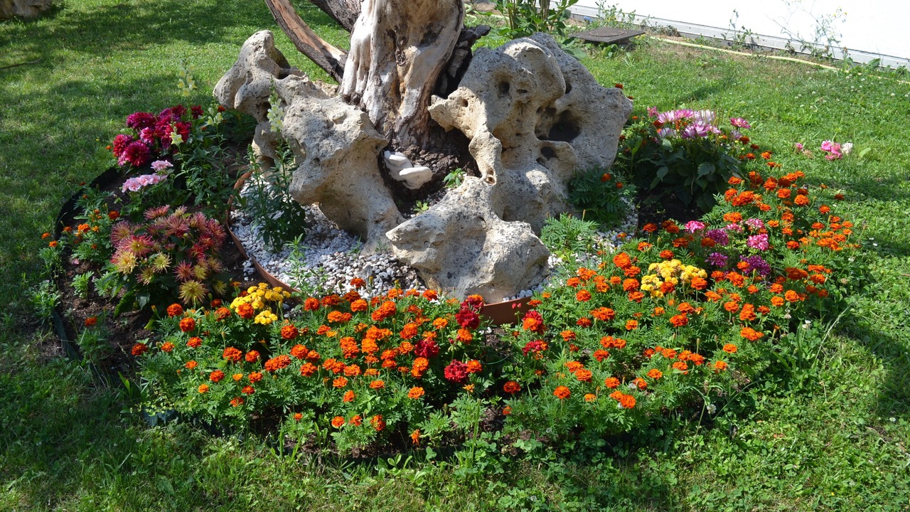 Photo of Outdoor in Cenon