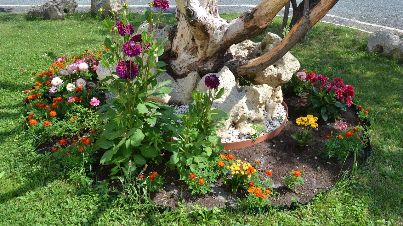 Photo of Outdoor in Cenon