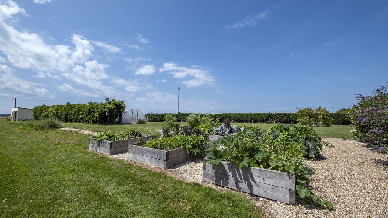 Photo of Outdoor in Sud Charente