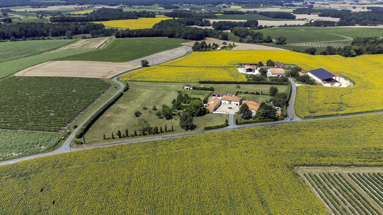 Photo of Outdoor in Sud Charente