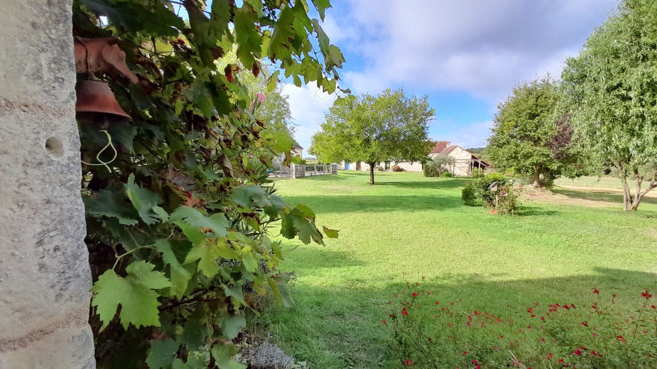 Photo of Outdoor in Coussay-les-Bois