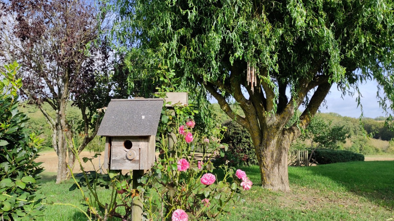 Photo of Outdoor in Coussay-les-Bois