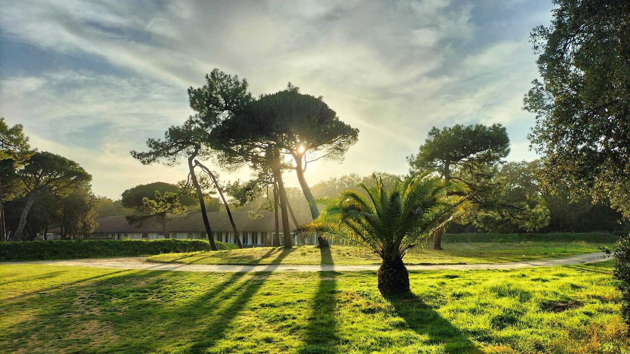 Photo of Outdoor in Saint-Pierre-d'Oleron