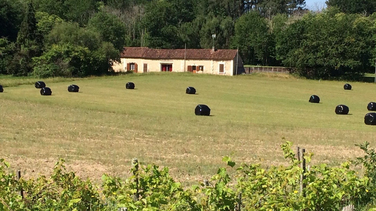 Photo of Others in Sourzac