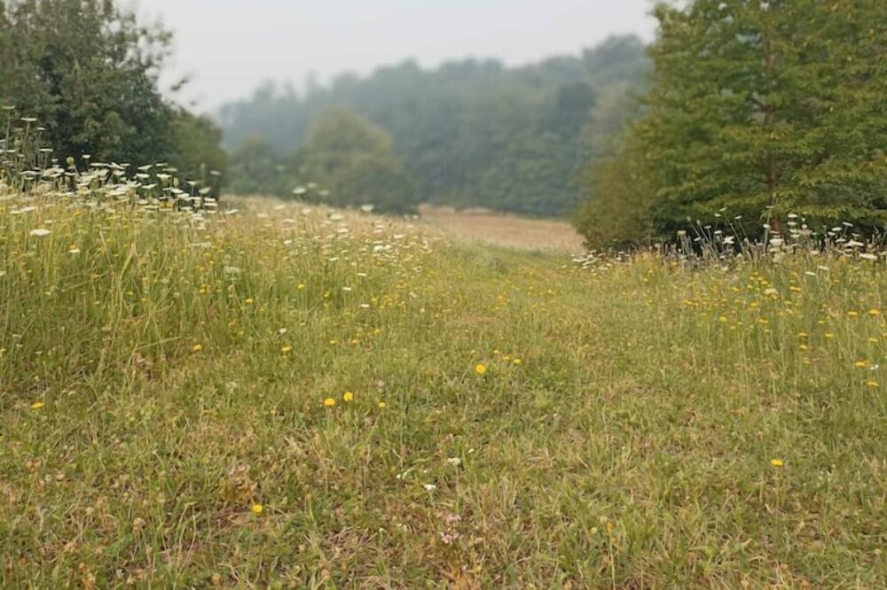 Photo of Outdoor in Proissans
