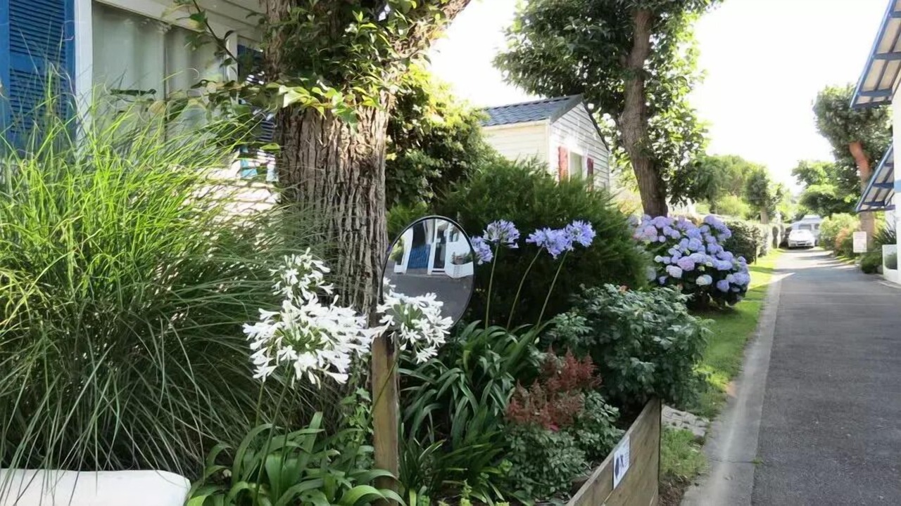 Photo of Outdoor in Kokotia