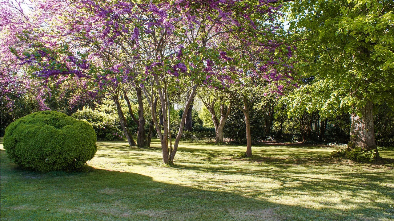 Photo of Outdoor in Gontaud