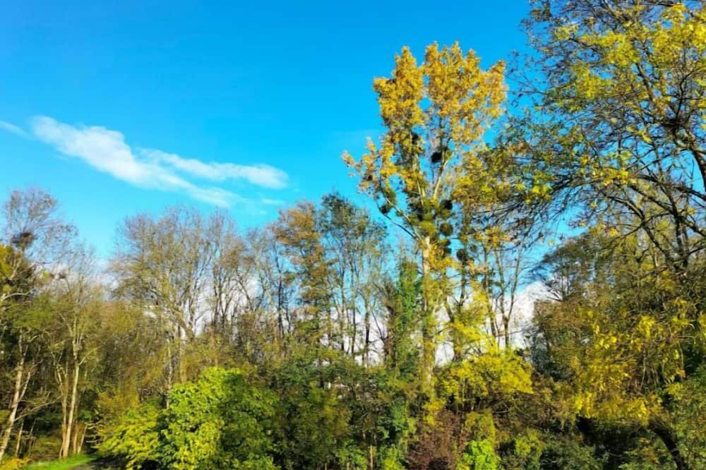 Photo of Outdoor in Courcoury