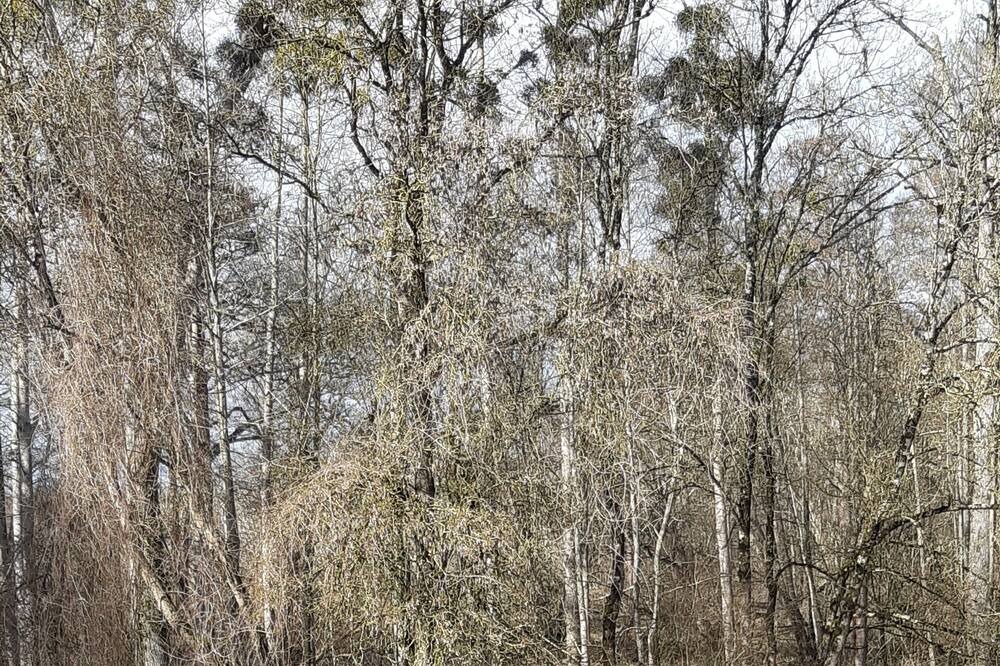 Photo of Outdoor in Courcoury