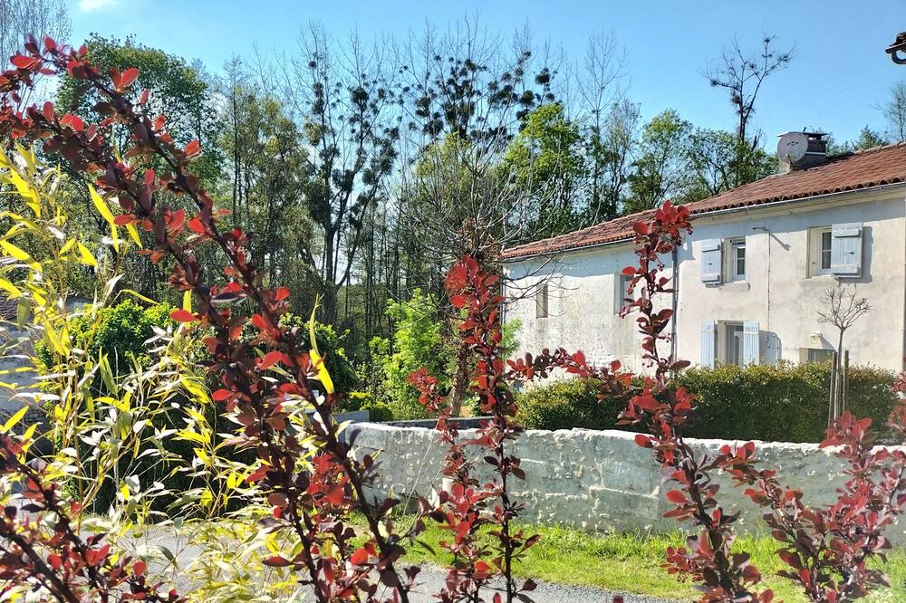 Photo of Outdoor in Courcoury
