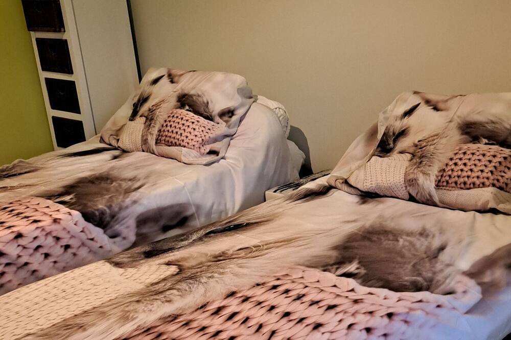Photo of Bedroom in Bergerac