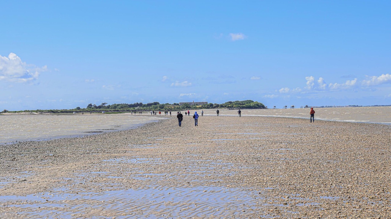 Photo of Others in Port-des-Barques