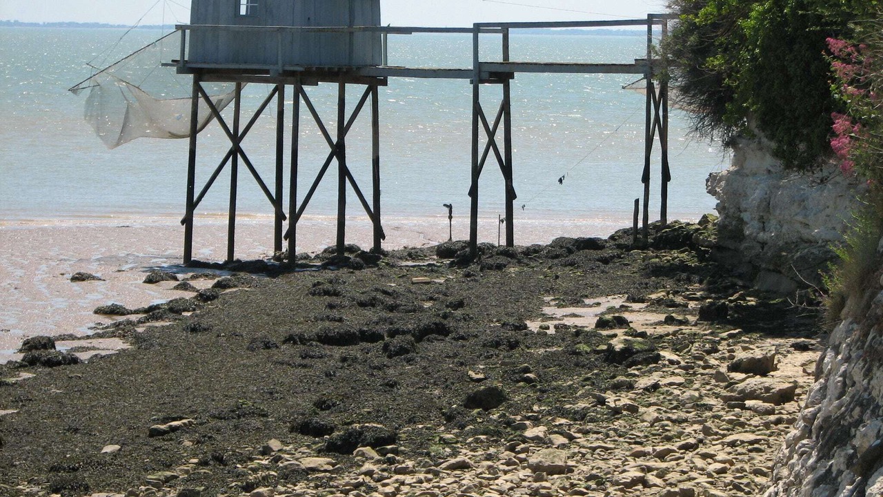 Photo of Outdoor in Segonzac