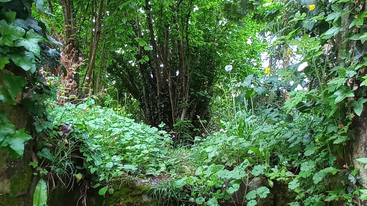 Photo of Outdoor in Pays-de-Belves