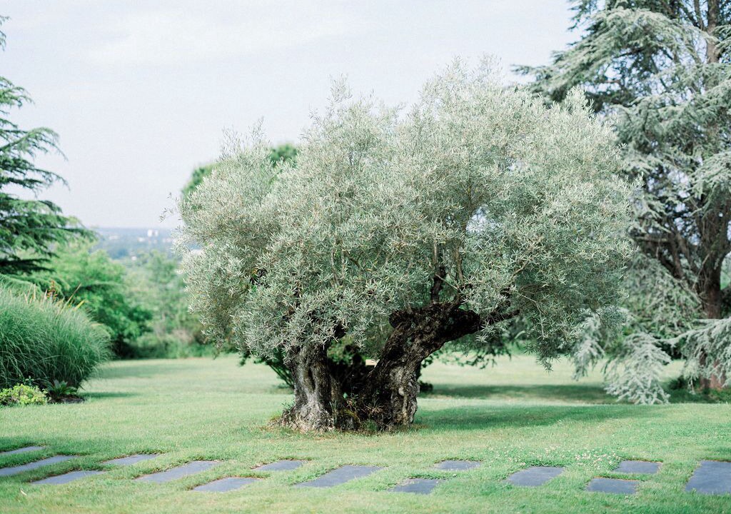 Photo of Outdoor in Latresne