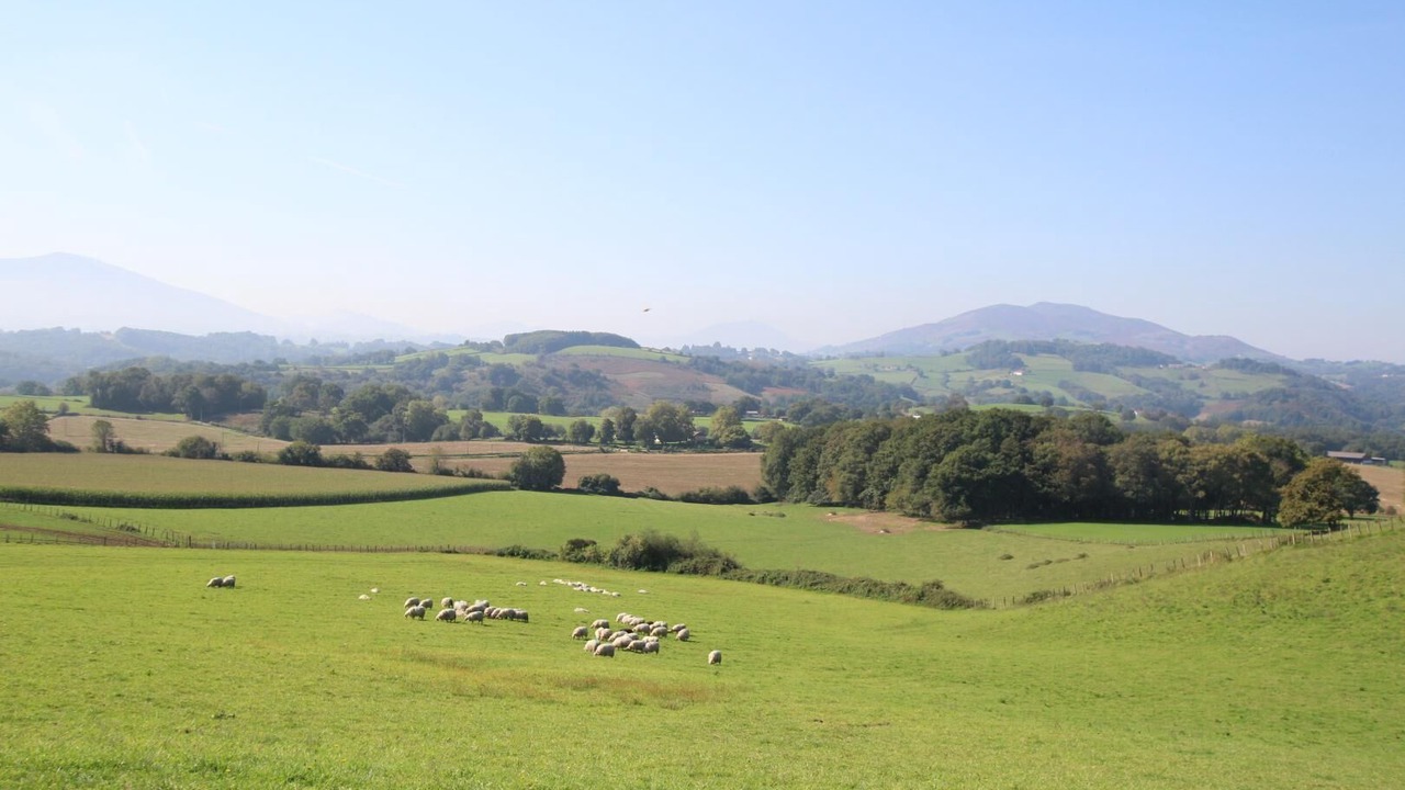 Photo of Outdoor in Ayherre