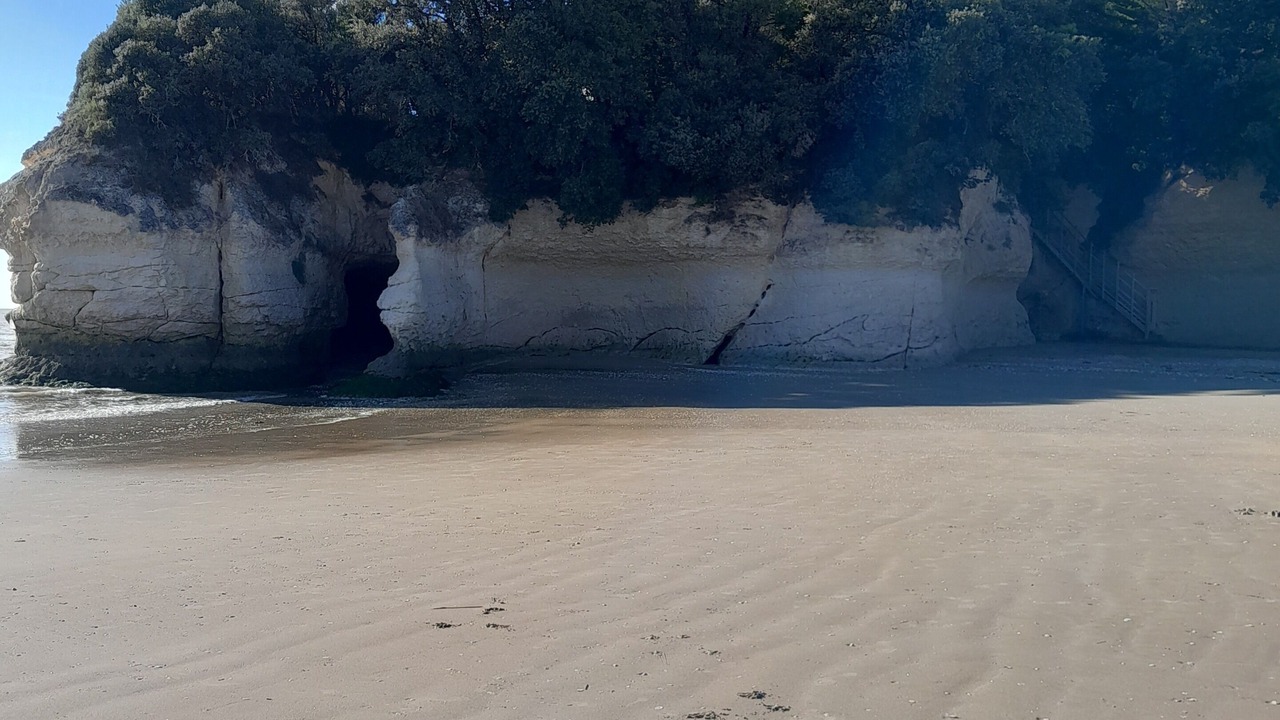 Photo of Others in Meschers-sur-Gironde