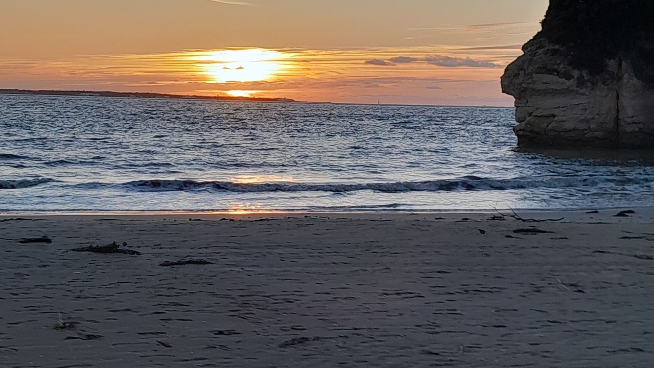 Photo of Others in Meschers-sur-Gironde