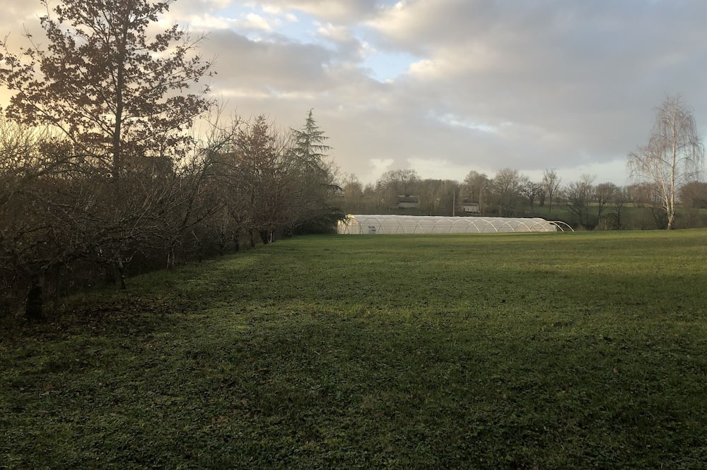 Photo of Others in Armillac