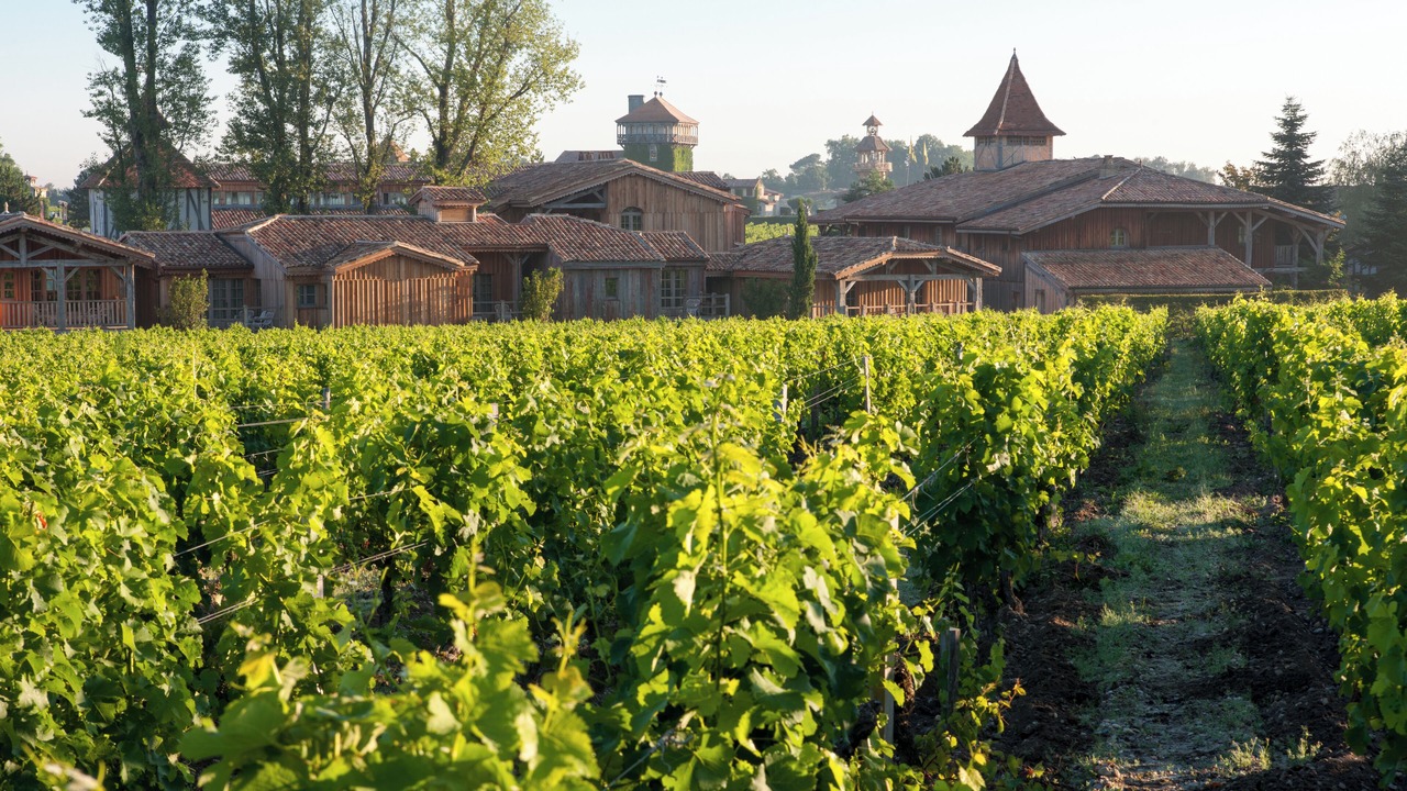 Photo of Outdoor in Martillac