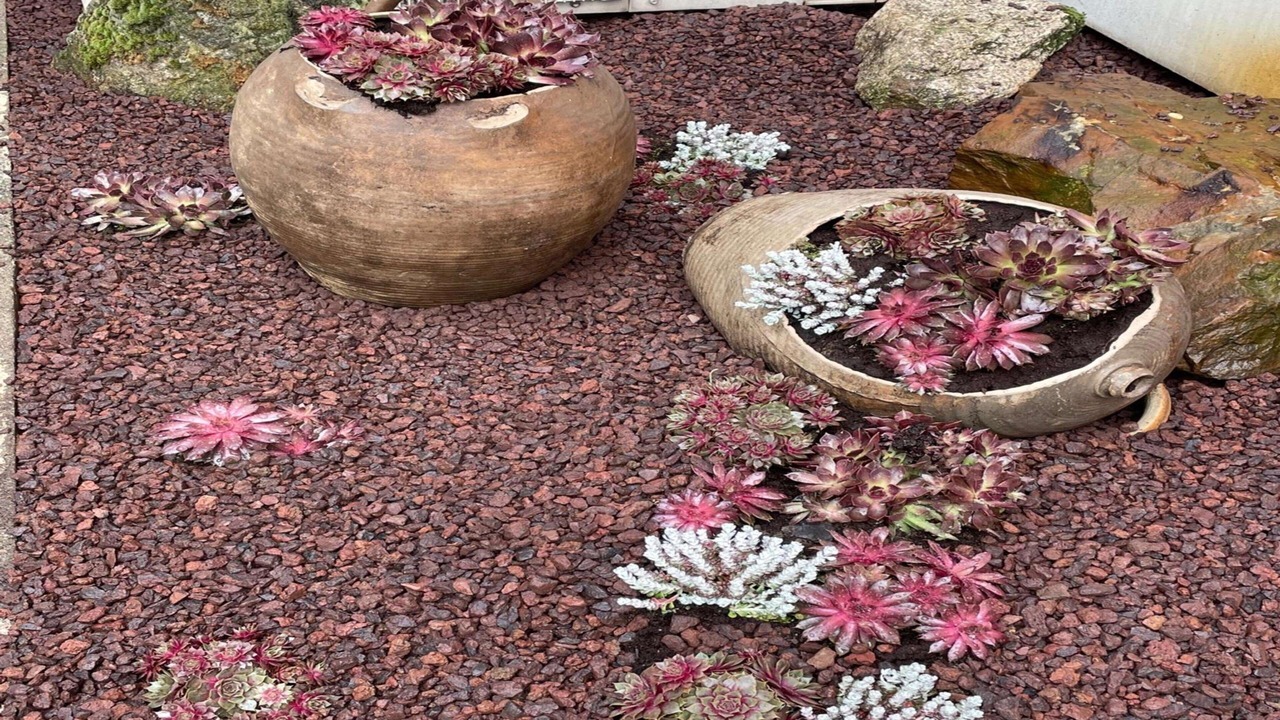 Photo of Outdoor in Limoges
