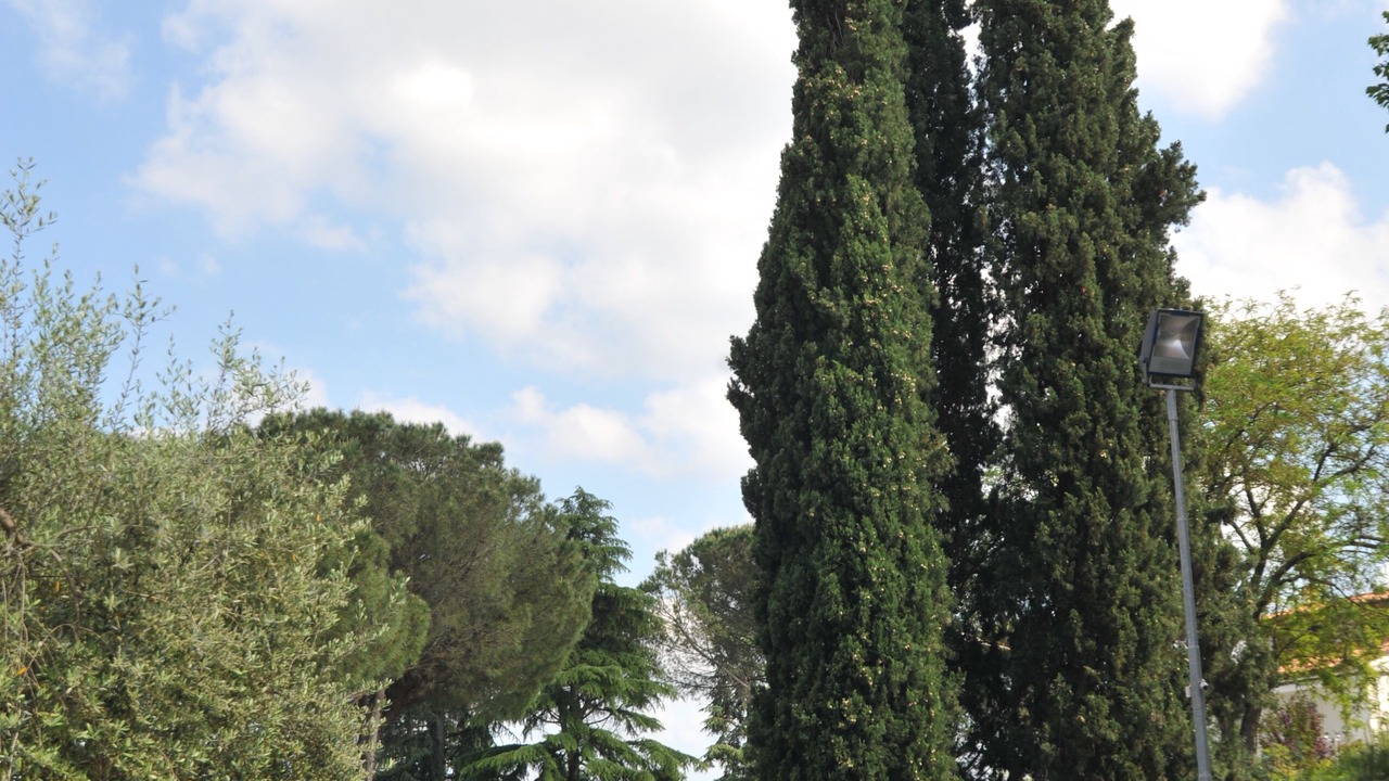 Photo of Outdoor in Poggio a Caiano