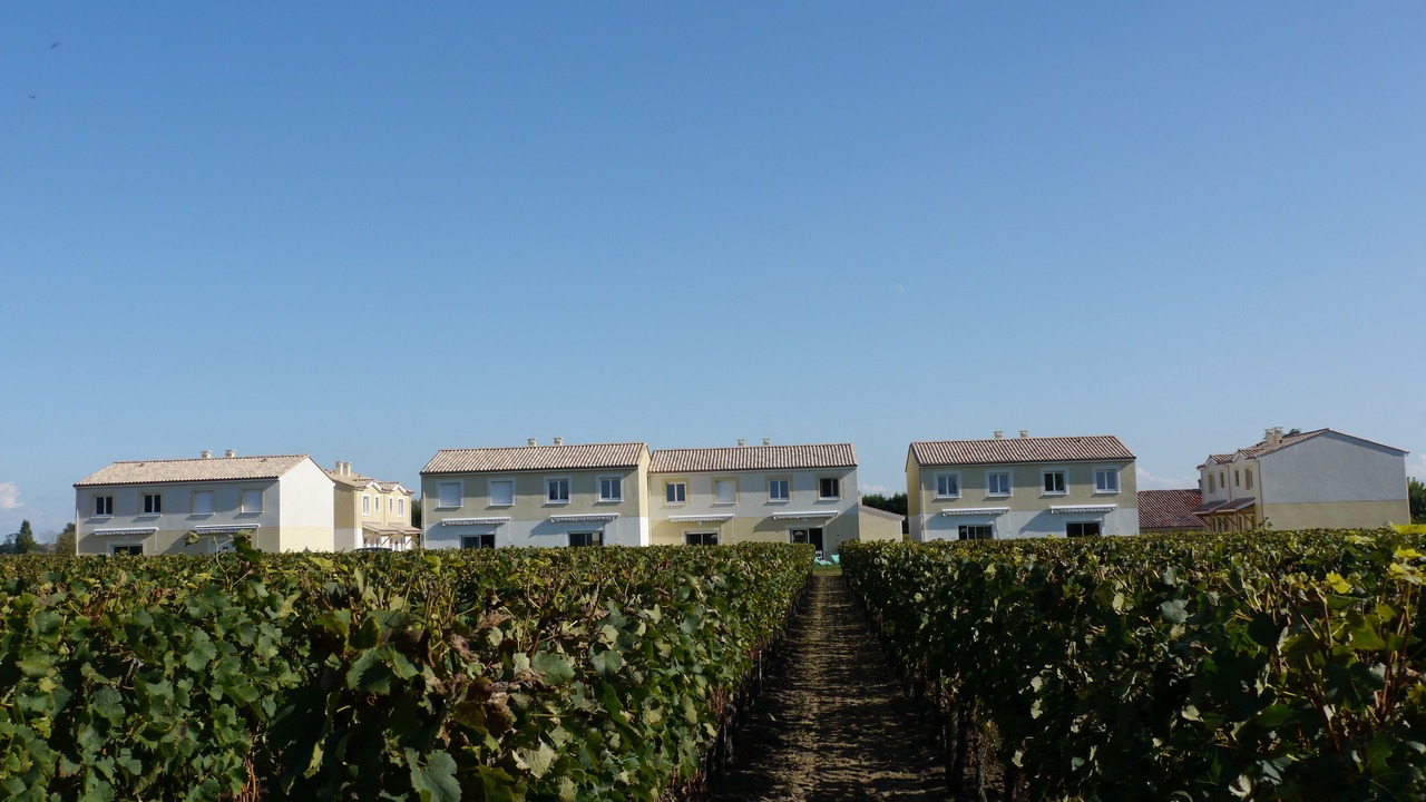 Photo of Others in Libourne