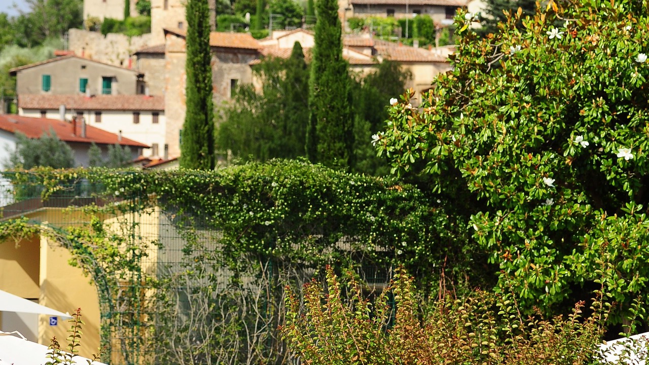 Photo of Others in Sarteano