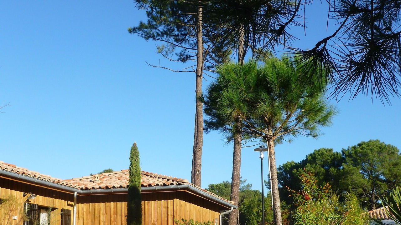 Photo of Others in Lege-Cap-Ferret