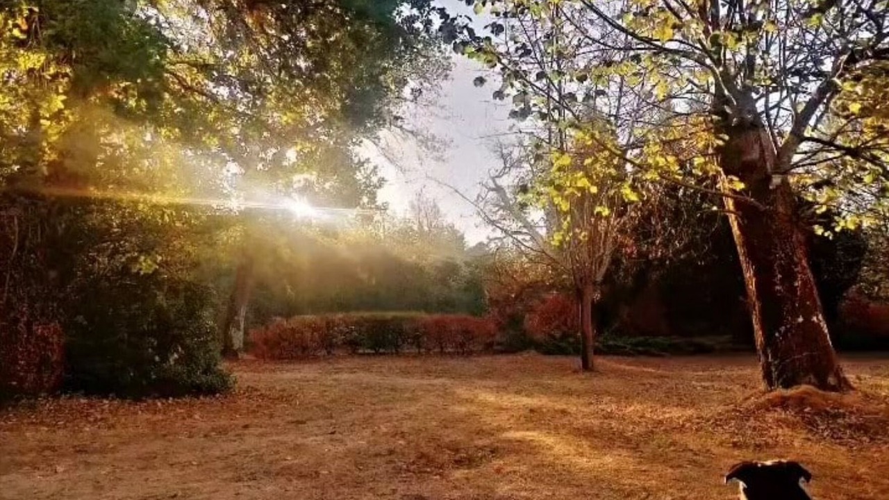Photo of Outdoor in Labouheyre