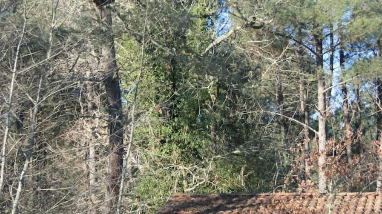 Photo of Outdoor in Labouheyre