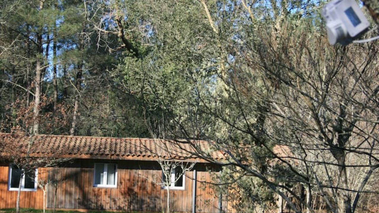 Photo of Outdoor in Labouheyre