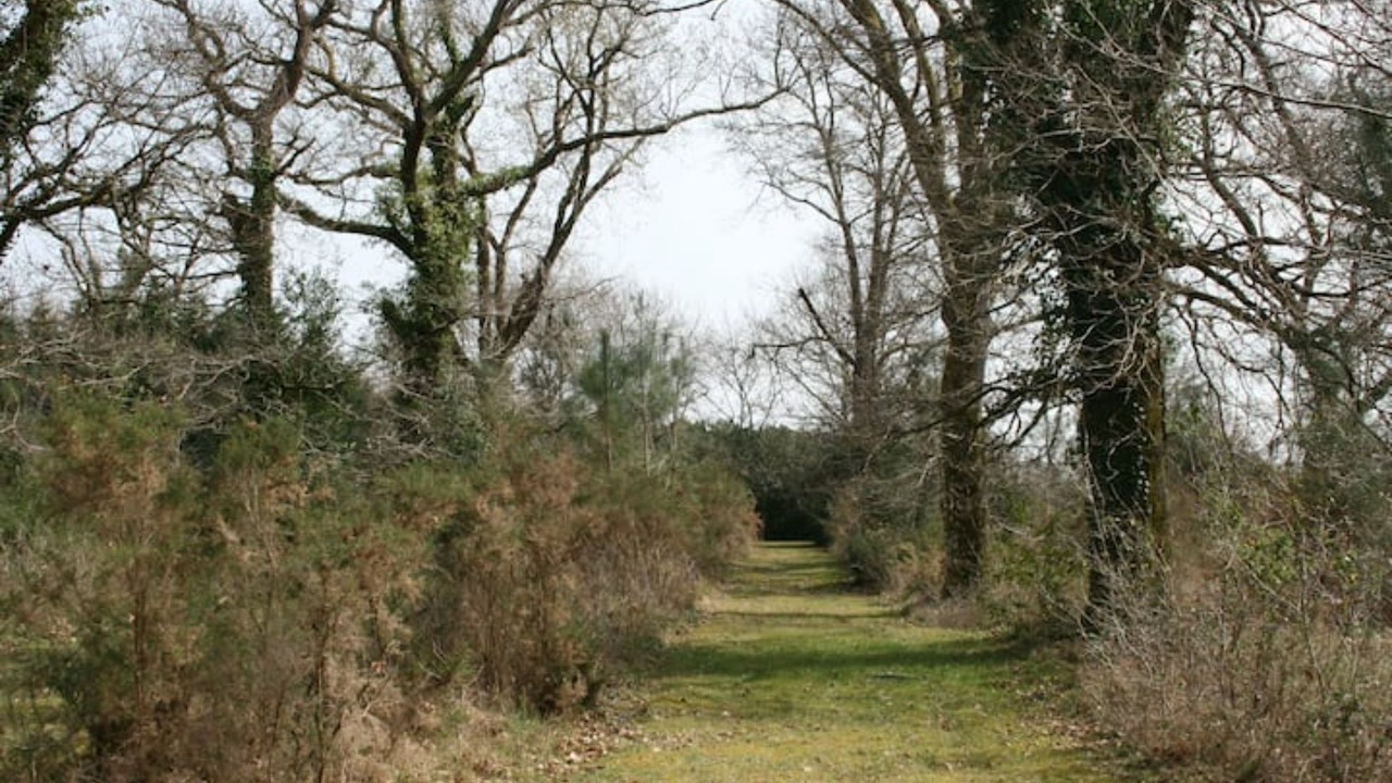 Photo of Others in Labouheyre