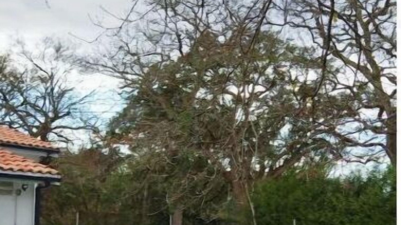 Photo of Outdoor in Saint-Paul-en-Born