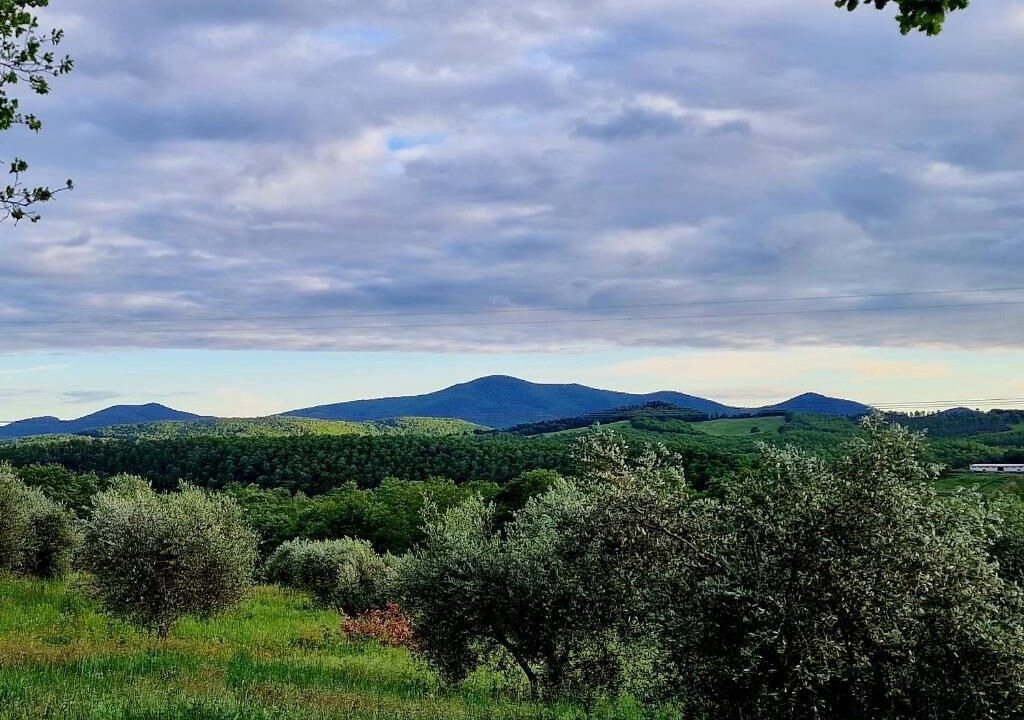 Photo of Outdoor in Civitella Paganico