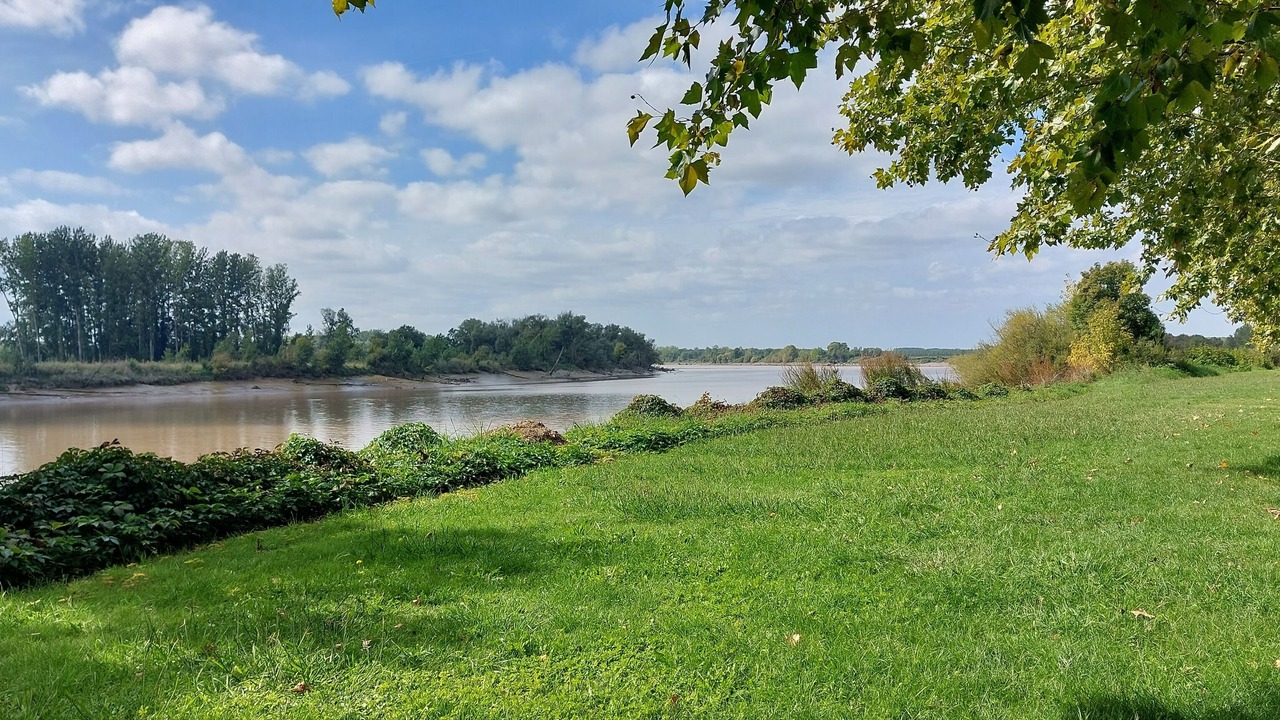 Photo of Outdoor in Cambes