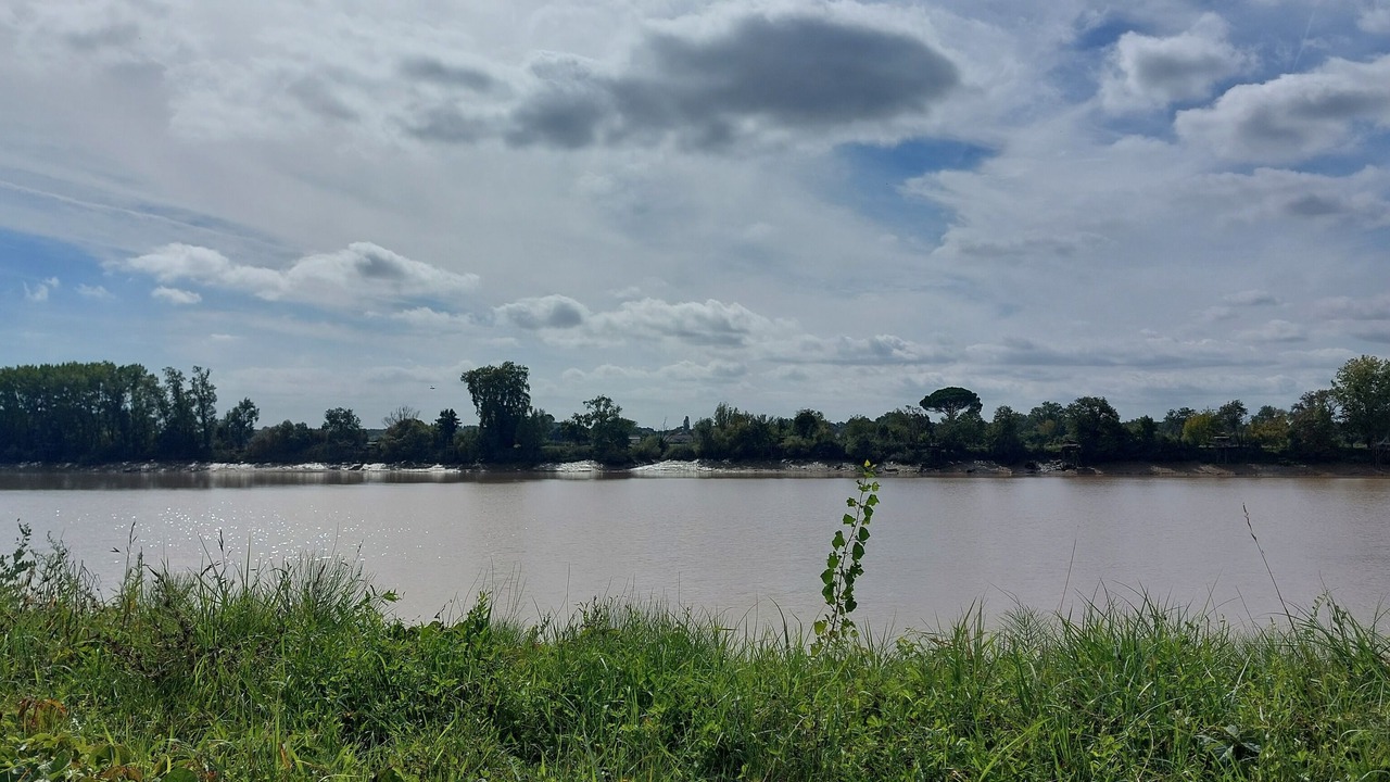 Photo of Outdoor in Cambes