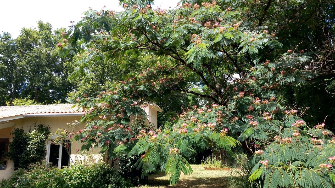 Photo of Outdoor in Queyrac
