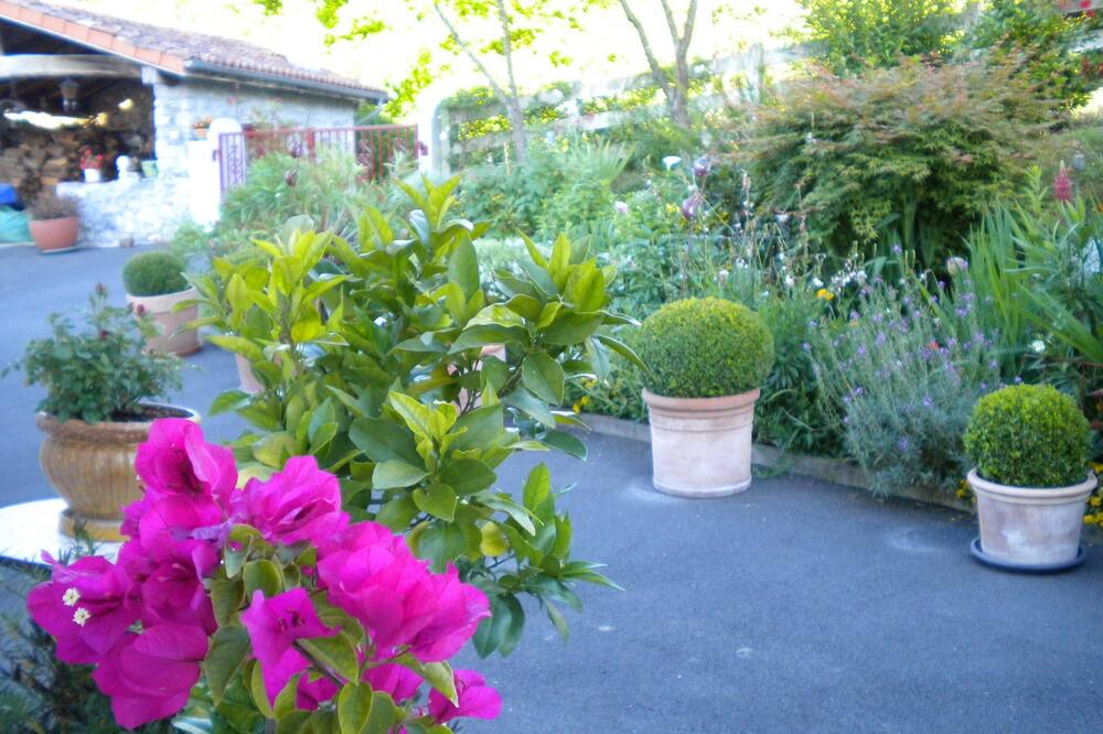 Photo of Outdoor in Saint-Esteben