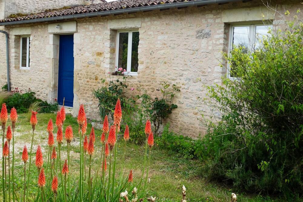 Photo of Others in La Mothe-Saint-Heray