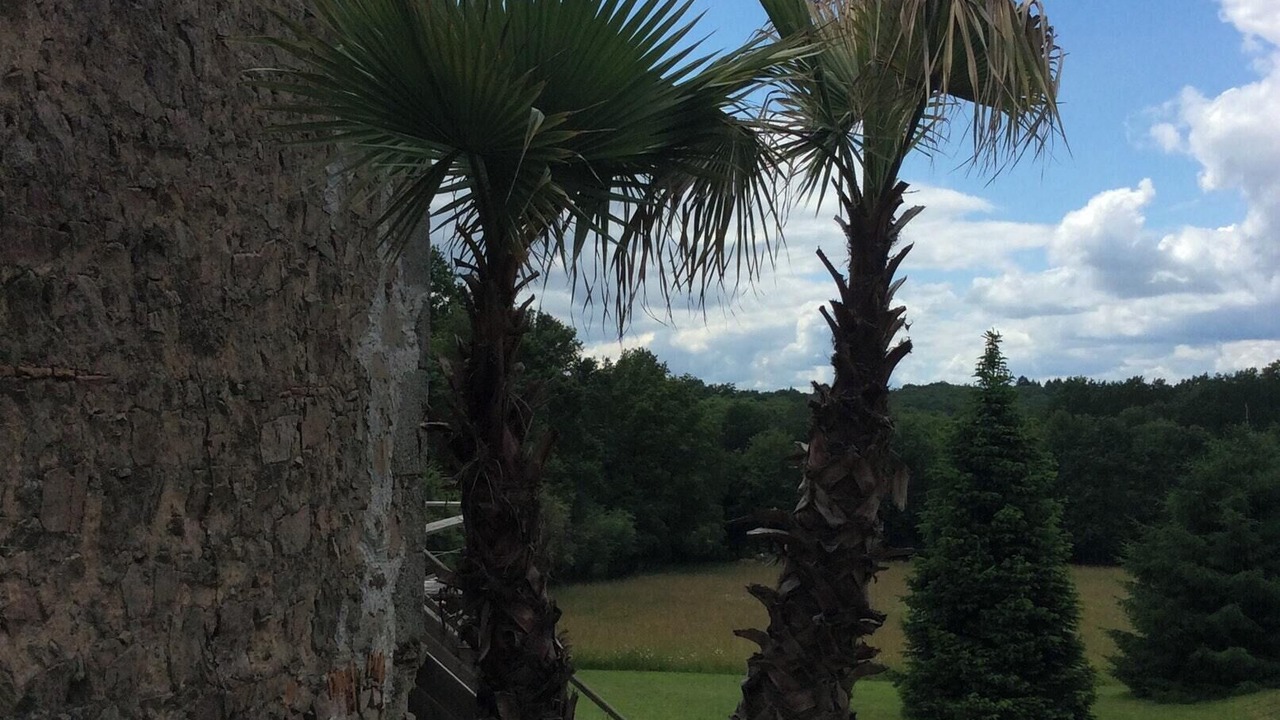Photo of Outdoor in Abjat-sur-Bandiat