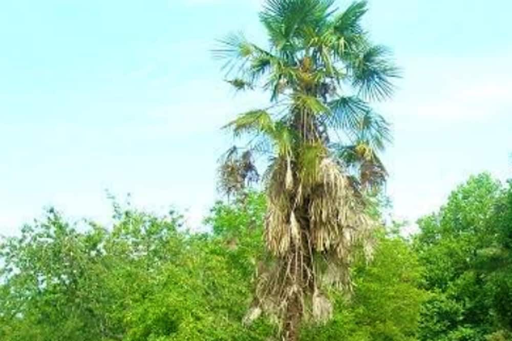 Photo of Outdoor in Bussac
