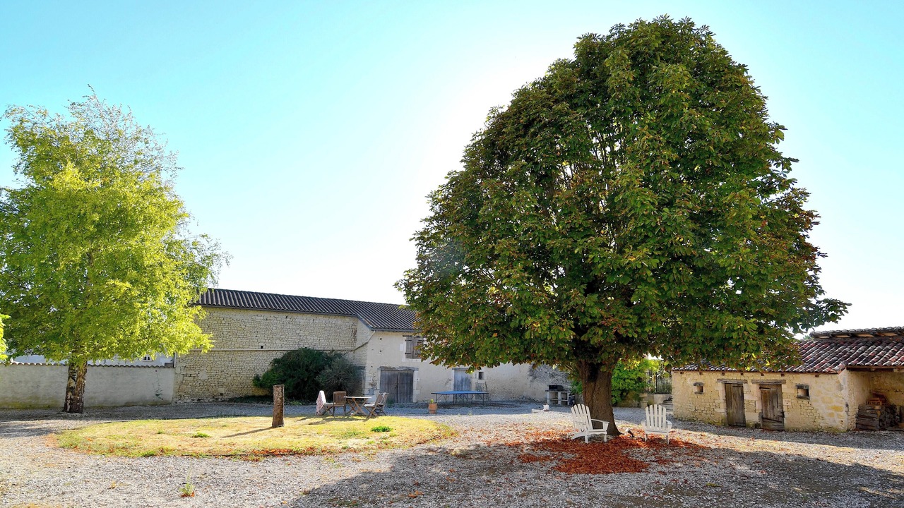 Photo of Outdoor in Saint-Palais-du-Ne