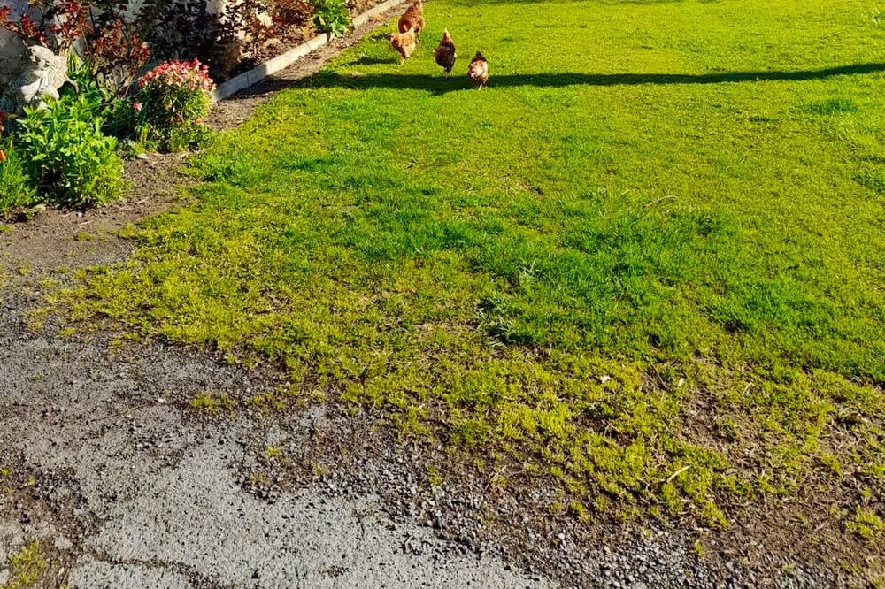 Photo of Outdoor in Allemans
