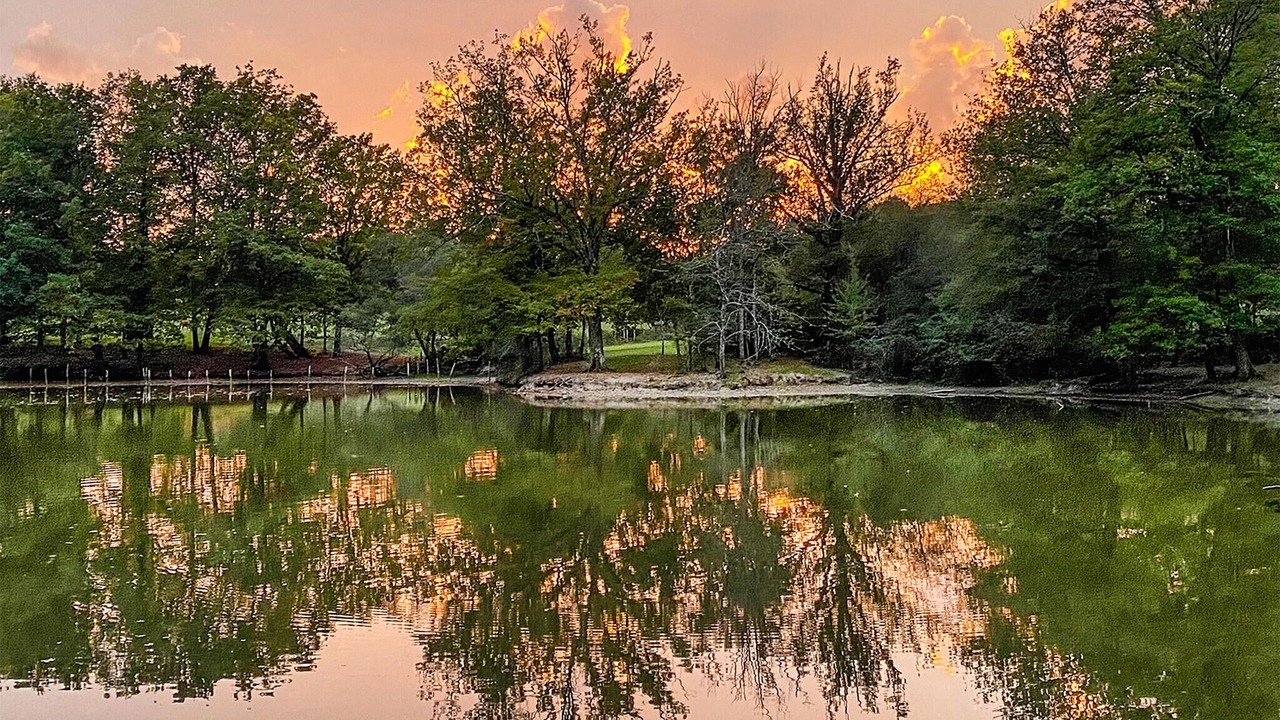 Photo of Outdoor in Saint-Gery