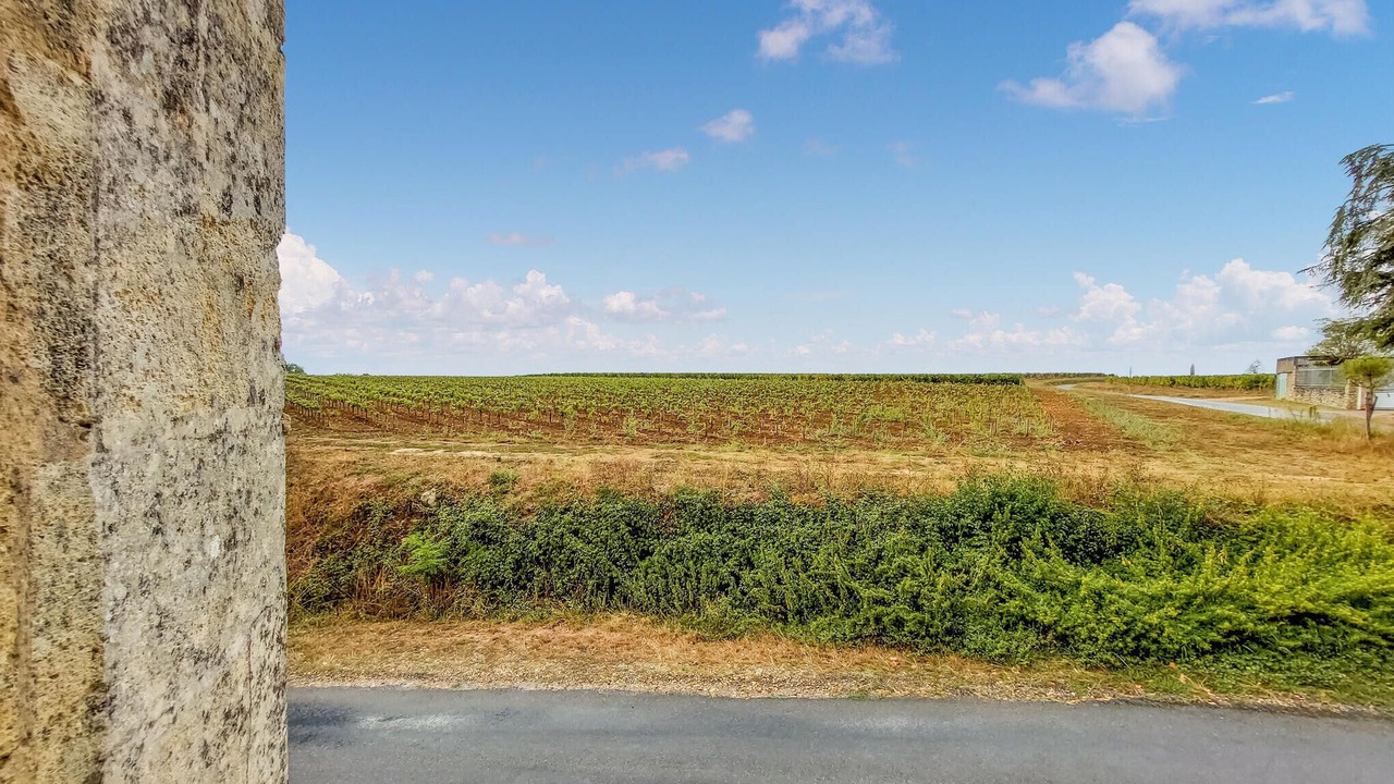 Photo of Outdoor in Puisseguin