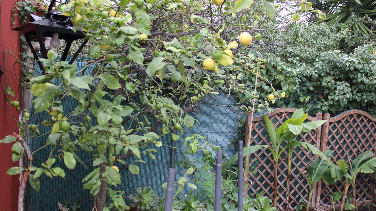 Photo of Outdoor in Cros-de-Cagnes