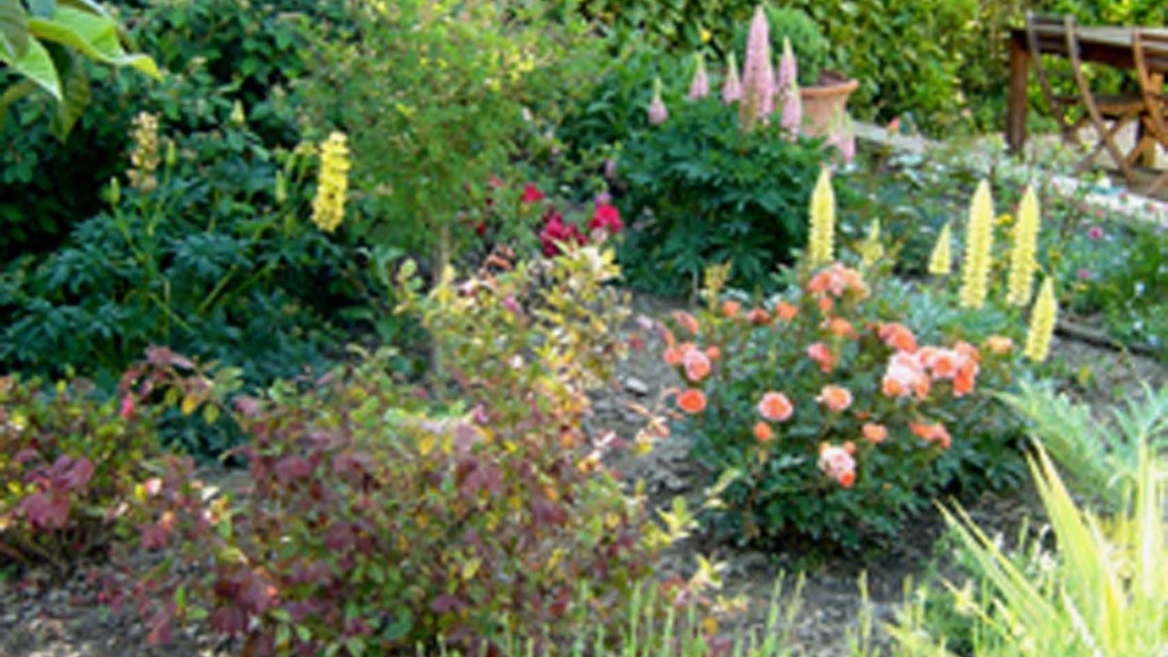 Photo of Outdoor in Aire-sur-l'Adour