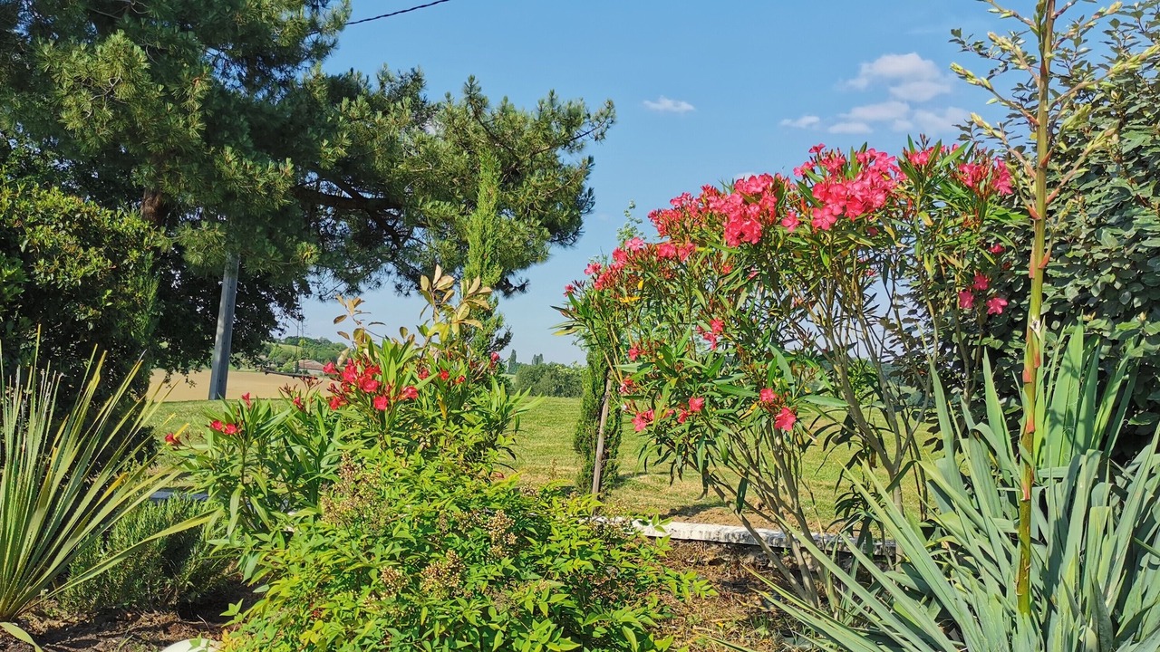 Photo of Outdoor in Pailloles