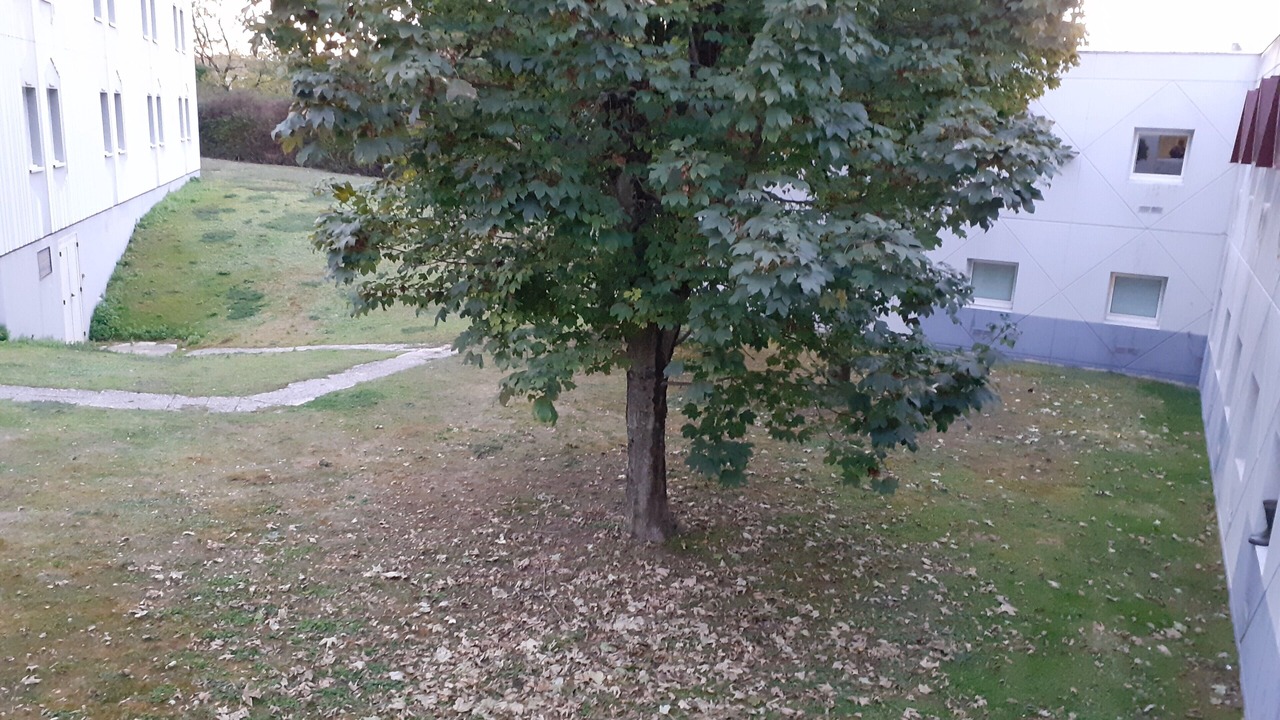 Photo of Outdoor in Saintes
